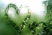 Wonka: The Movie, The Cast, and The Chocolate