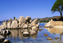 Wonka: The Movie, The Cast, and The Chocolate